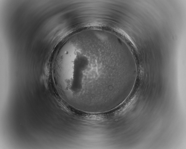 X0000094380874200711021224