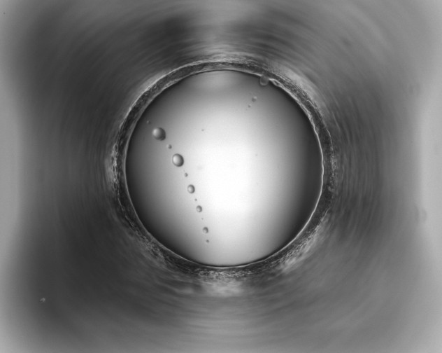 X0000094380875200711021224