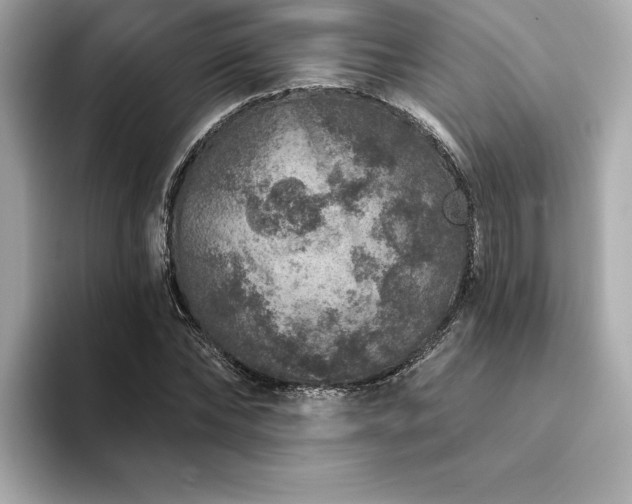 X0000094380878200711021224