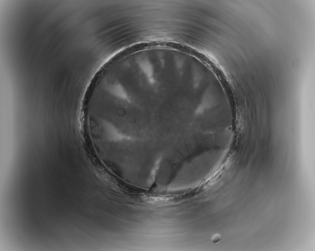 X0000094380879200711021224