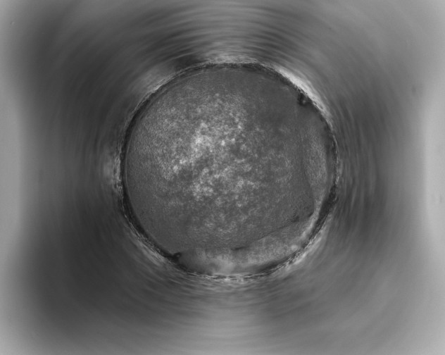 X0000094380881200711021224