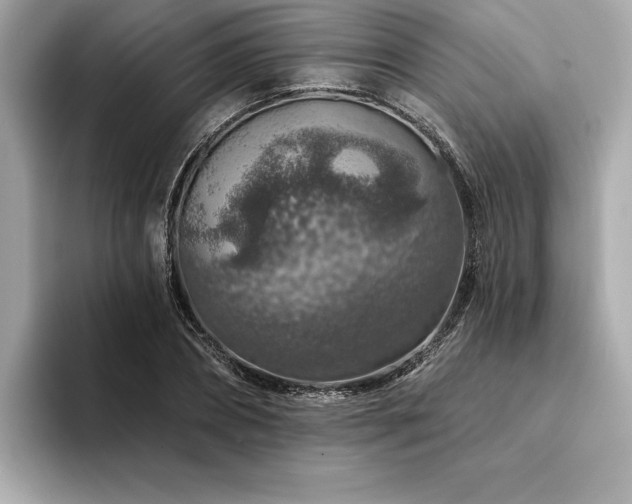 X0000094380882200711021224