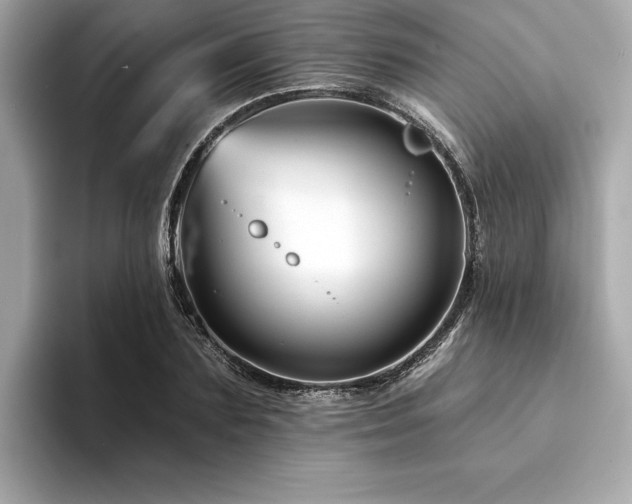 X0000094380883200711021224