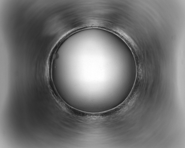 X0000094380886200711021224