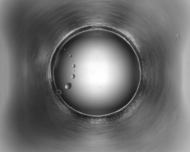 X0000094380887200711021224