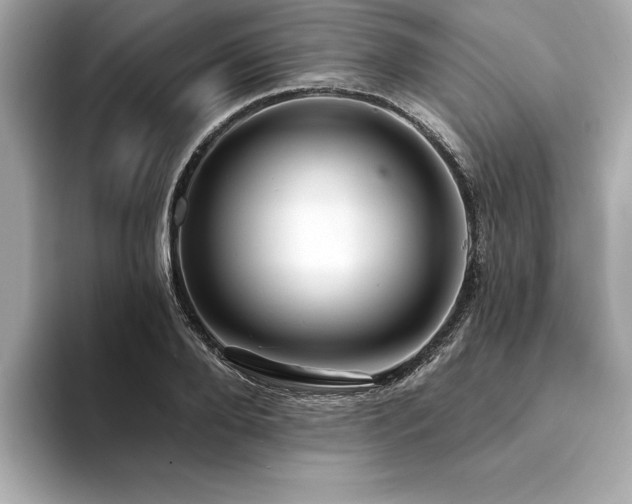 X0000094380888200711021224