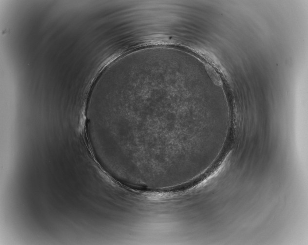 X0000094380889200711021224
