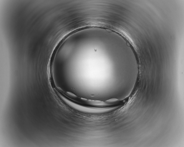 X0000094380891200711021224