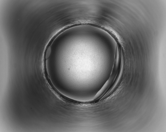 X0000094380894200711021224