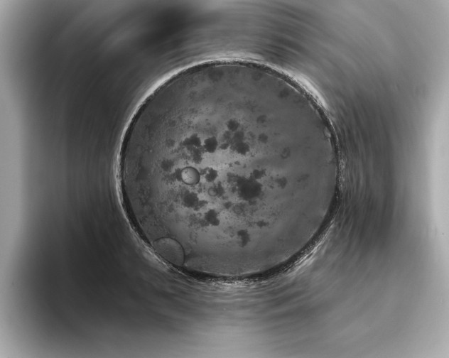 X0000094380895200711021224