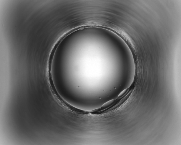 X0000094380896200711021224