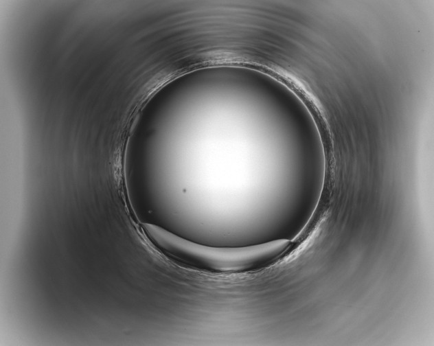 X0000094380897200711021224