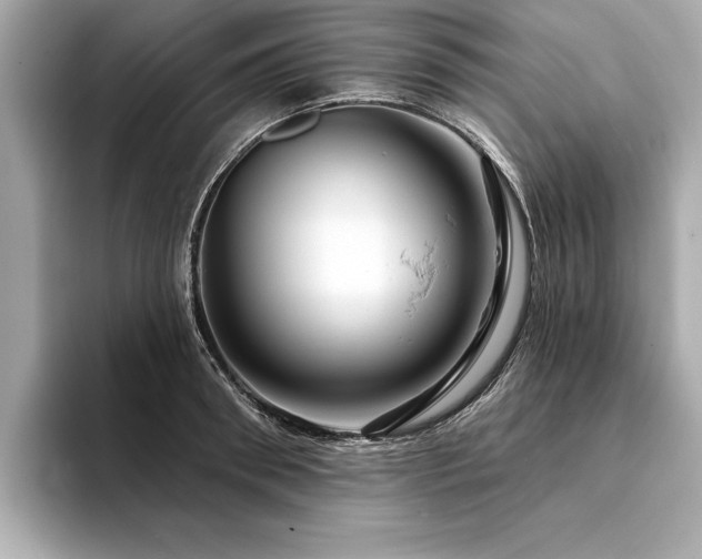 X0000094380898200711021224
