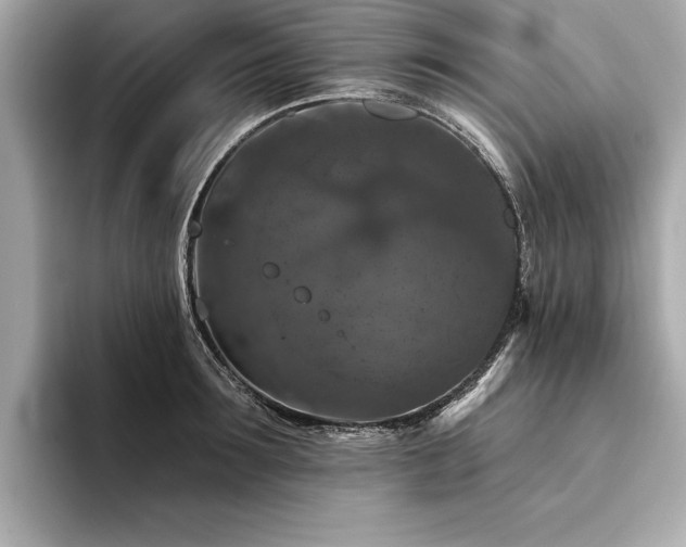 X0000094380899200711021224