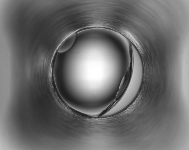 X0000094380900200711021224