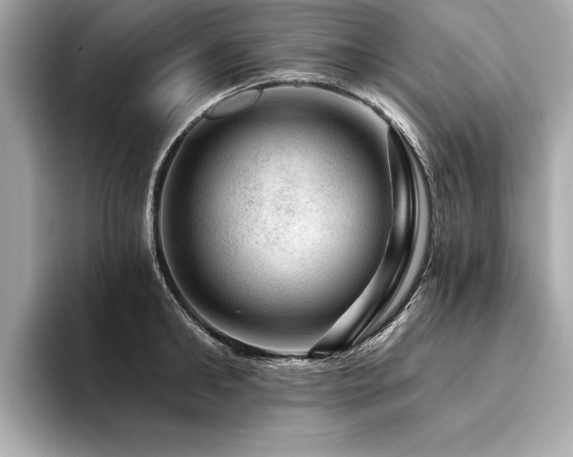 X0000094380902200711021224