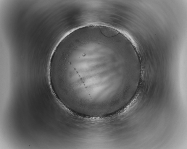 X0000094380903200711021224