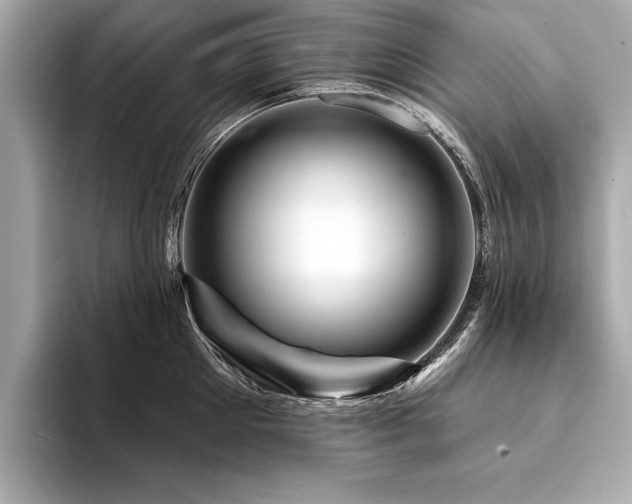 X0000094380905200711021224