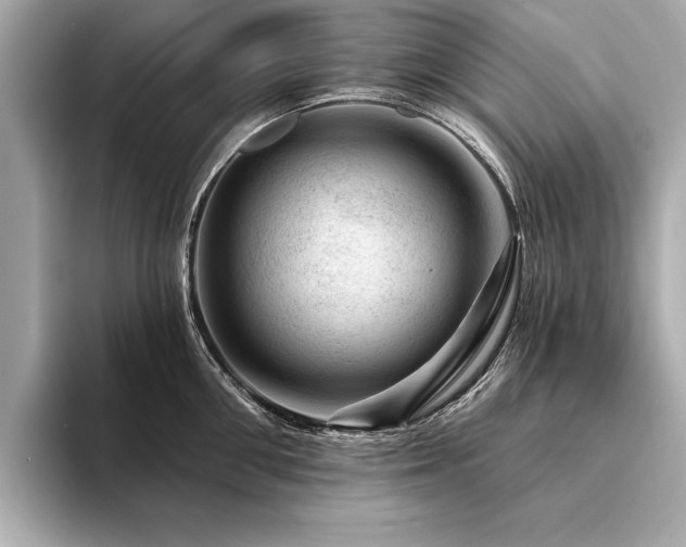 X0000094380906200711021224