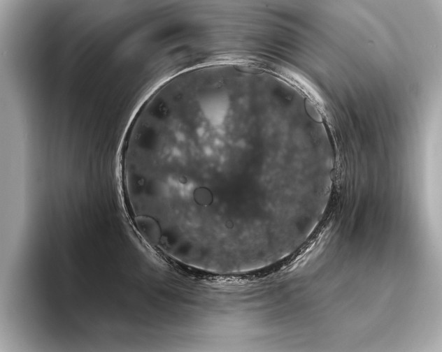 X0000094380907200711021224