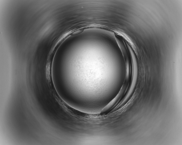 X0000094380910200711021224