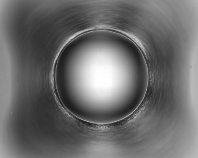 X0000094380911200711021224
