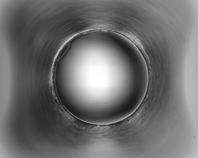 X0000094380912200711021224