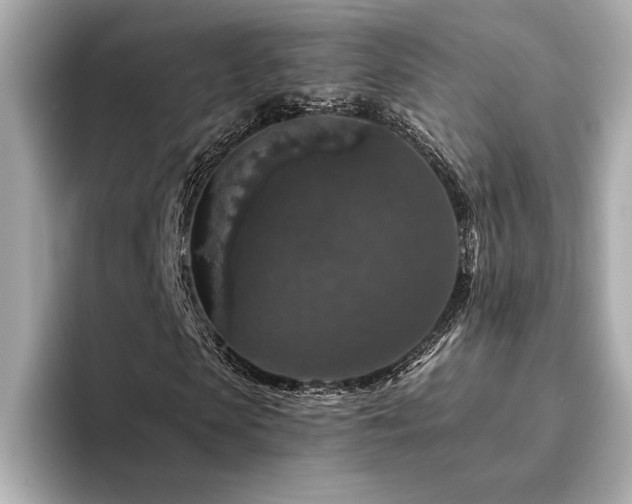 X0000094380913200711021223