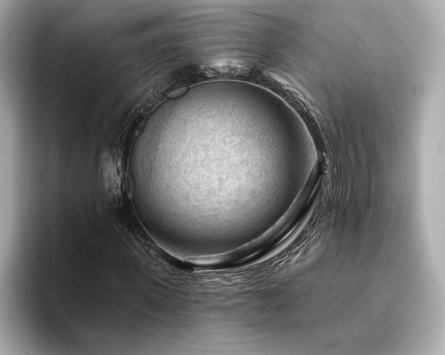 X0000094380915200711021223