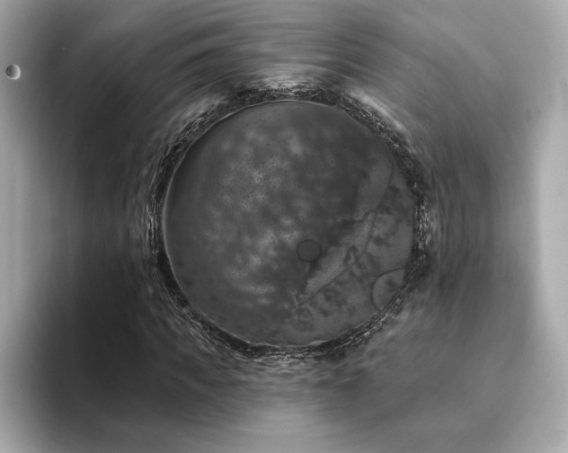 X0000094380917200711021223