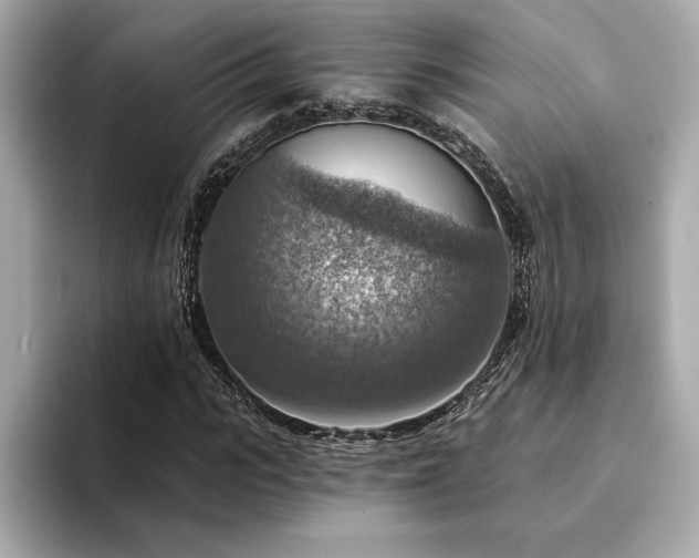 X0000094380919200711021223