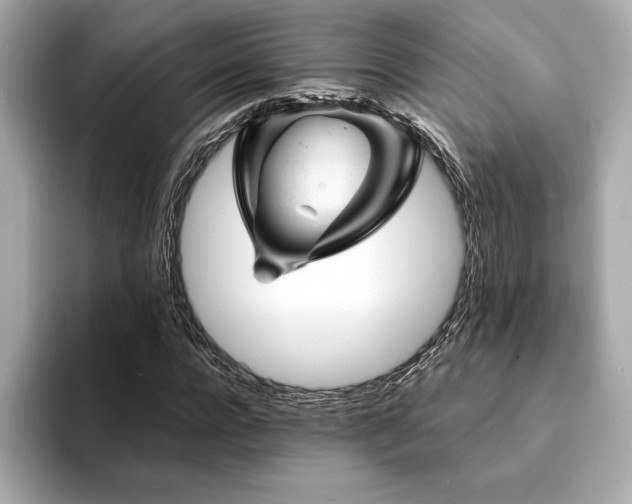 X0000094380920200711021223