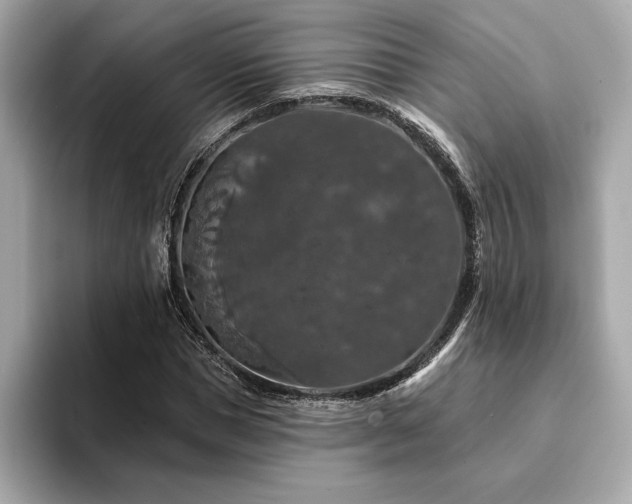X0000094380921200711021223