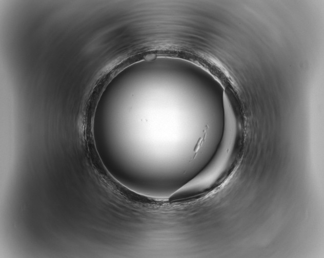 X0000094380922200711021223