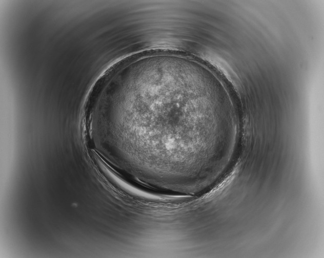 X0000094380923200711021223
