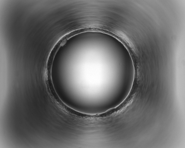 X0000094380924200711021223