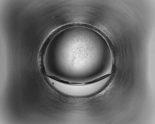 X0000094380926200711021223