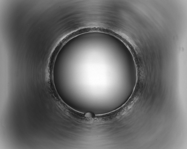 X0000094380927200711021223