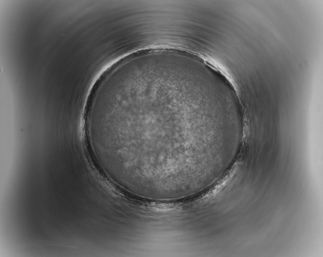 X0000094380928200711021223