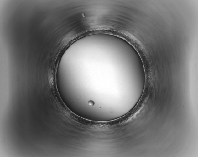 X0000094380929200711021223