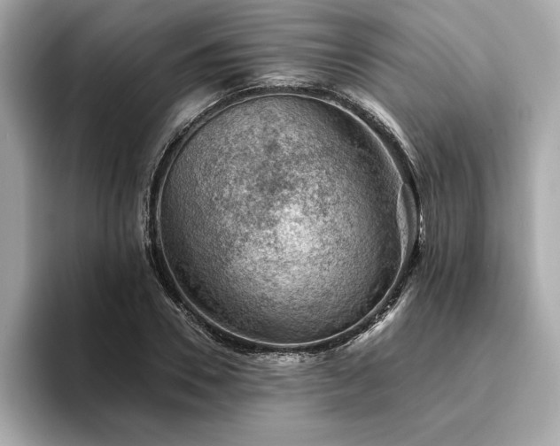 X0000094380930200711021223