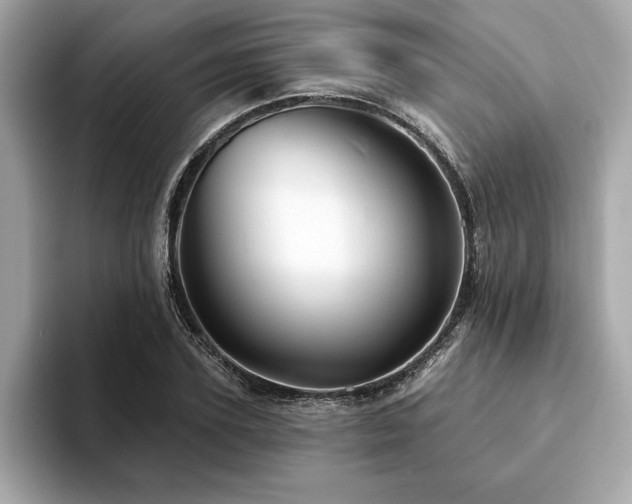 X0000094380931200711021223