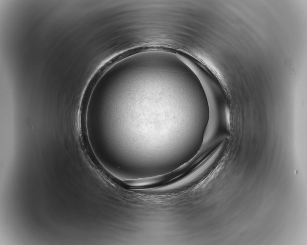 X0000094380932200711021223