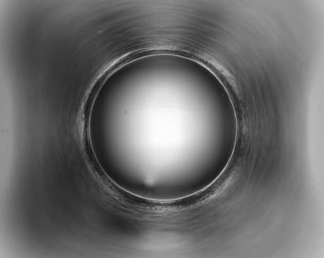 X0000094380933200711021223