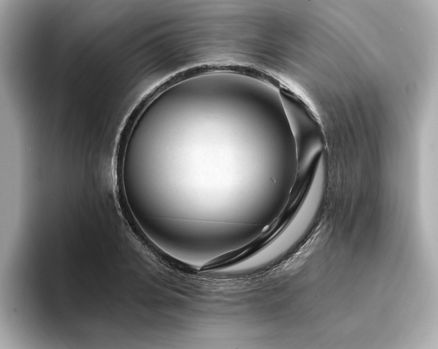 X0000094380935200711021223