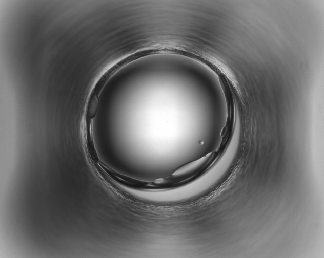 X0000094380936200711021223
