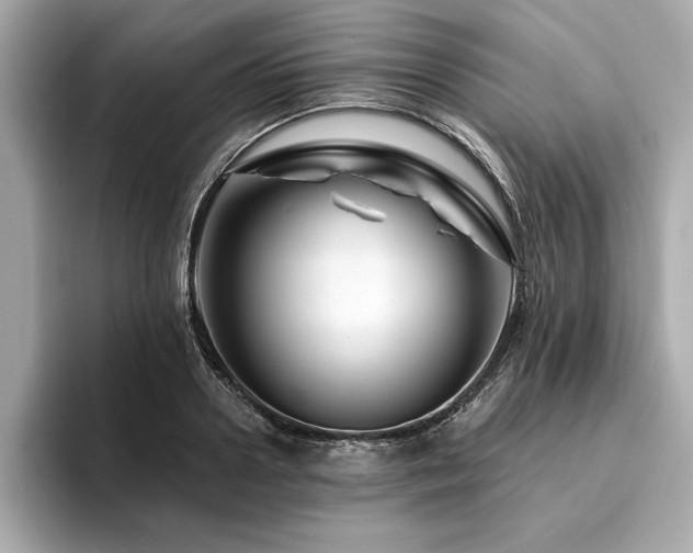 X0000094380938200711021223