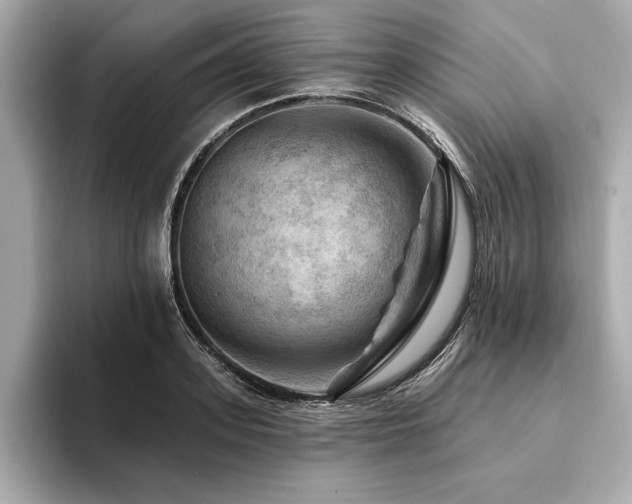 X0000094380939200711021223