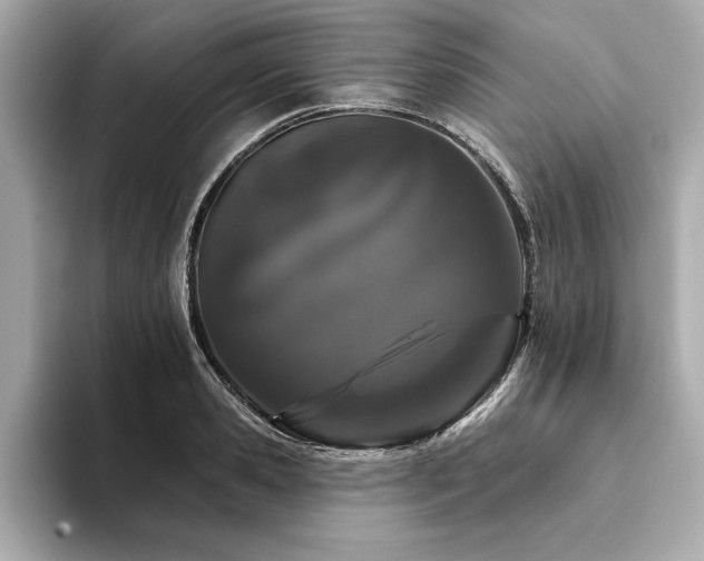 X0000094380941200711021223