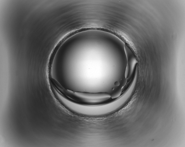 X0000094380942200711021223